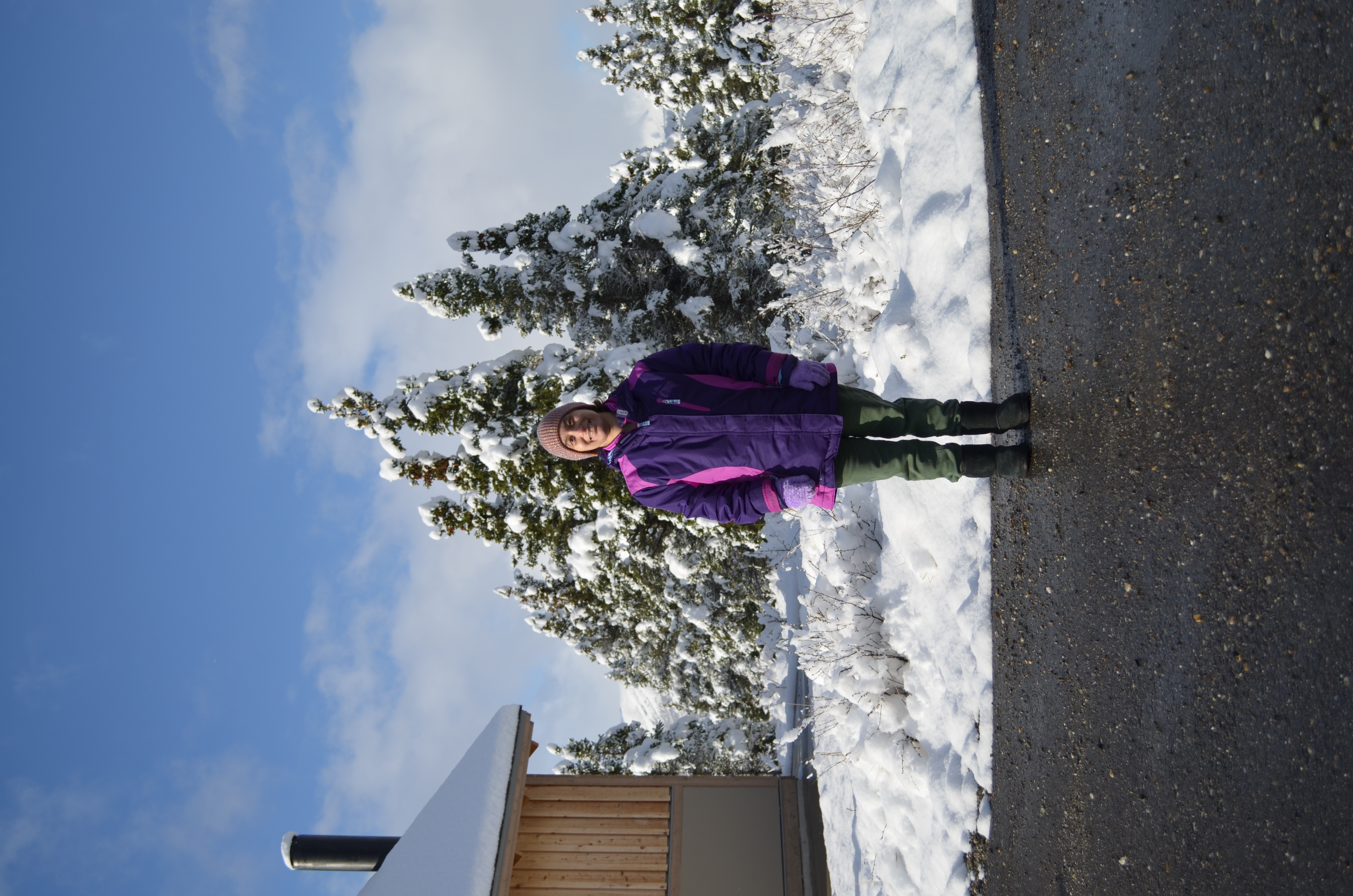 ./2017/08 - Alaska Cruise/03 - Denali/DSC_0256.JPG